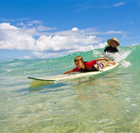 Cylinder Beach North Stradbroke Island - Accommodation Redcliffe