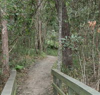 Springwood Conservation Park - Accommodation Redcliffe