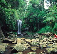 Tamborine National Park - Accommodation Redcliffe