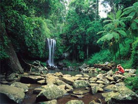 Tamborine National Park - Accommodation Redcliffe 0