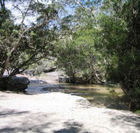 Davies Creek National Park and Dinden National Park - Accommodation Redcliffe
