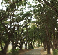 Mango Avenue - Accommodation Redcliffe