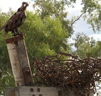 Blackall Sculpture Trail - Accommodation Redcliffe