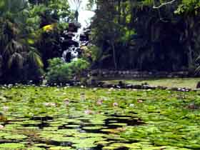 Queens Park Waterfall - Accommodation Redcliffe 0