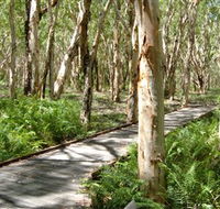 The Kommo Toera Trail - Accommodation Redcliffe