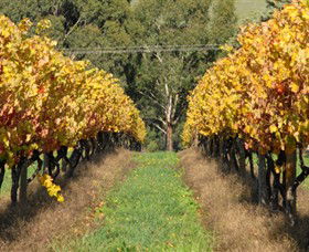 Wild Dog Winery & Restaurant - Accommodation Redcliffe 0