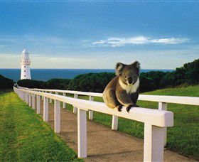 Cape Otway Lightstation - Accommodation Redcliffe 0