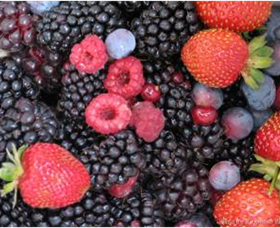 Gentle Annie Berry Gardens - Accommodation Redcliffe 0