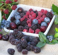Bright Berry Farms - Accommodation Redcliffe