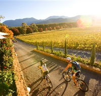 Boyntons Feathertop Winery - Accommodation Redcliffe
