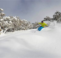 Mt Buller and Mt Stirling Alpine Resort - Accommodation Redcliffe