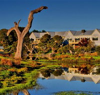 The Minya Vineyard  Winery - Accommodation Redcliffe