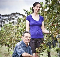 Anderson Winery - Accommodation Redcliffe