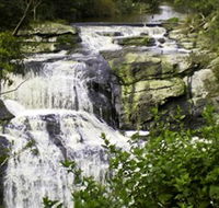 Agnes Falls Scenic Reserve - Accommodation Redcliffe