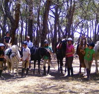 Bellarine Horse Riding Centre - Accommodation Redcliffe