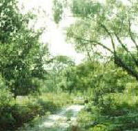 Holey Plains State Park - Accommodation Redcliffe
