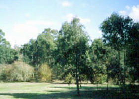 Sweeneys Flat - Accommodation Redcliffe 0