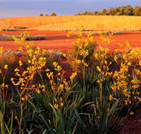 Royal Botanic Gardens Victoria Cranbourne - Accommodation Redcliffe