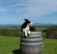 Windy Ridge Vineyard and Winery - Accommodation Redcliffe