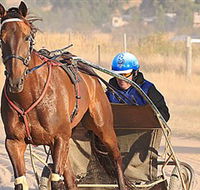 Ballarat  District Trotting Club - Accommodation Redcliffe