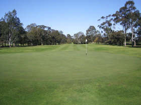 Maffra Golf Club - Accommodation Redcliffe 0