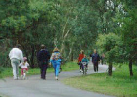 Birrarrung Park - Accommodation Redcliffe 0
