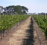 Mount Beckworth Wines - Accommodation Redcliffe