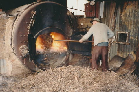 Eucalyptus Distillery Museum - Accommodation Redcliffe 2