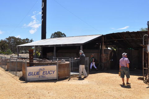 Eucalyptus Distillery Museum - Accommodation Redcliffe 3