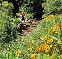 Bonaira Native Gardens - Accommodation Redcliffe