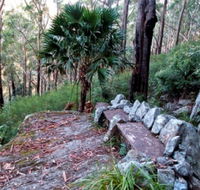 Wodi Wodi Walking Track - Accommodation Redcliffe