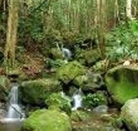 Budderoo National Park - Accommodation Redcliffe