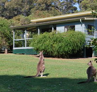 Murramarang National Park - Accommodation Redcliffe