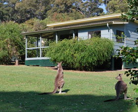 Murramarang National Park - Accommodation Redcliffe 0