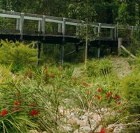 Eurobodalla Botanic Gardens - Accommodation Redcliffe