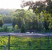 Lyrebird Ridge Organic Winery - Accommodation Redcliffe