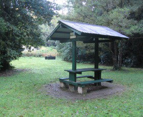 Pine Creek State Forest - Accommodation Redcliffe 0