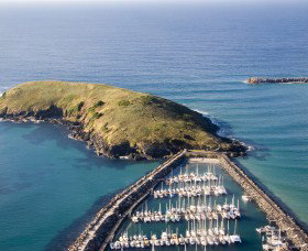 Muttonbird Island Nature Reserve - Accommodation Redcliffe 0