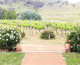 Brindabella Hills Winery - Accommodation Redcliffe 0