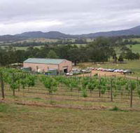 Villa d Esta Vineyard - Accommodation Redcliffe