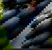 Swinging Bridge Estate - Accommodation Redcliffe