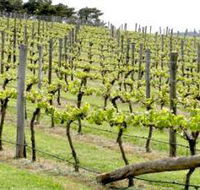 Bantry Grove - Accommodation Redcliffe