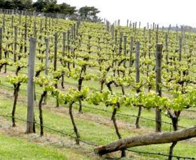 Bantry Grove - Accommodation Redcliffe 0