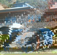 Lake George Winery - Accommodation Redcliffe