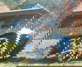 Lake George Winery - Accommodation Redcliffe 0