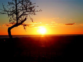 Rocky Ridge Vineyard And Cellar Door - Accommodation Redcliffe 0