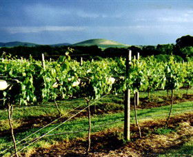 Mt Coghill Vineyard - Accommodation Redcliffe 1