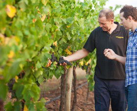 Fratin Brothers Vineyard - Accommodation Redcliffe 0