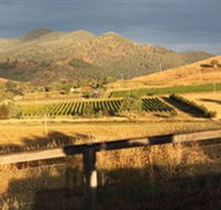 Optimiste Wines - Accommodation Redcliffe