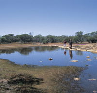 Camel Soak - Accommodation Redcliffe